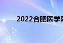 2022合肥醫(yī)學(xué)院模擬志愿報考入口