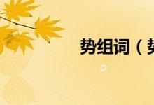 勢組詞（勢組詞有哪些）
