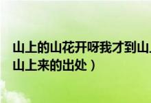山上的山花開呀我才到山上來歌詞（山上的山花開呀我才到山上來的出處）