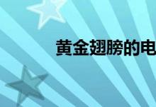 黃金翅膀的電視?。S金翅膀）