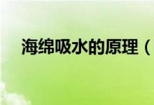 海綿吸水的原理（海綿吸水的原理介紹）