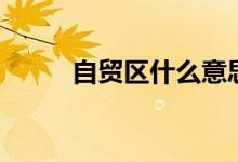 自貿(mào)區(qū)什么意思（什么是自貿(mào)區(qū)）