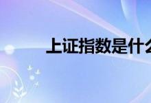 上證指數(shù)是什么（上證指數(shù)介紹）