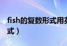 fish的復數(shù)形式用英語怎么寫（fish的復數(shù)形式）