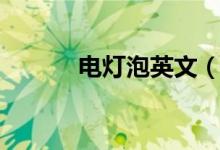 電燈泡英文（電燈泡雙語(yǔ)例句）