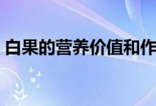 白果的營養(yǎng)價值和作用（白果的作用的哪些）