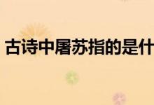 古詩中屠蘇指的是什么（古詩中屠蘇的意思）