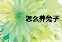 怎么養(yǎng)兔子（養(yǎng)兔子的方法）