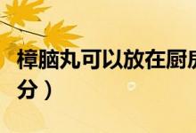 樟腦丸可以放在廚房嗎（樟腦丸有什么主要成分）