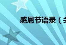 感恩節(jié)語錄（關(guān)于感恩節(jié)的句子）
