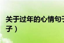 關(guān)于過年的心情句子（關(guān)于過年的經(jīng)典心情句子）