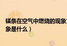 鎂條在空氣中燃燒的現(xiàn)象文字表達（鎂條在空氣中燃燒的現(xiàn)象是什么）