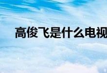 高俊飛是什么電視劇（講述了什么故事）
