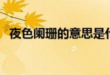 夜色闌珊的意思是什么（夜色闌珊的意思）