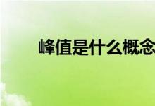 峰值是什么概念（峰值是什么意思）