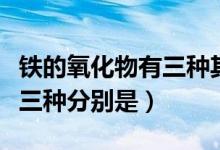 鐵的氧化物有三種其化學(xué)式為（鐵的氧化物有三種分別是）