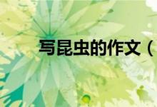 寫昆蟲(chóng)的作文（寫昆蟲(chóng)的作文范文）