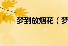 夢(mèng)到放煙花（夢(mèng)到放煙花什么意思）
