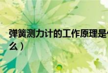 彈簧測(cè)力計(jì)的工作原理是什么（彈簧測(cè)力計(jì)的工作原理是什么）
