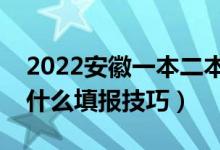 2022安徽一本二本同時提交志愿可以嗎（有什么填報技巧）