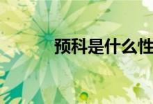 預科是什么性質（預科是什么）
