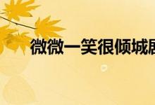 微微一笑很傾城劇情（該劇主演是誰）