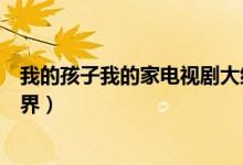 我的孩子我的家電視劇大結(jié)局（幺叔決定帶幺嬸出去周游世界）