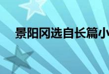 景陽(yáng)岡選自長(zhǎng)篇小說(shuō)什么（景陽(yáng)岡選自）