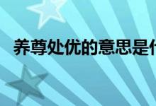 養(yǎng)尊處優(yōu)的意思是什么（養(yǎng)尊處優(yōu)的意思）