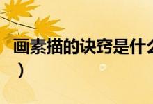 畫素描的訣竅是什么（素描的基本要素有哪些）