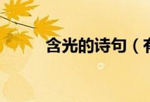 含光的詩句（有什么含光的詩句）