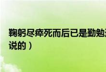 鞠躬盡瘁死而后已是勤勉還是忠誠（鞠躬盡瘁死而后已是誰說的）