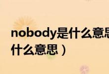 nobody是什么意思中文翻譯（英語(yǔ)nobody什么意思）