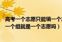 高考一個志愿只能填一個志愿組（高考志愿填報時一個院校一個組就是一個志愿嗎）