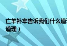 亡羊補(bǔ)牢告訴我們什么道理二年級（亡羊補(bǔ)牢告訴我們什么道理）