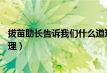 拔苗助長告訴我們什么道理50字（拔苗助長告訴我們什么道理）