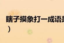 瞎子摸象打一成語是什么（瞎子摸象打一生肖）
