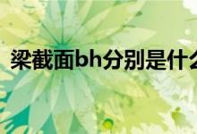 梁截面bh分別是什么（梁截面bh分別介紹）