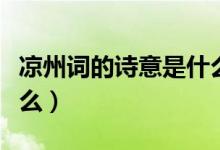 涼州詞的詩(shī)意是什么簡(jiǎn)短（涼州詞的詩(shī)意是什么）
