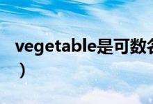 vegetable是可數(shù)名詞嗎（vegetable可數(shù)嗎）