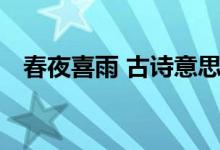 春夜喜雨 古詩意思（春夜喜雨 古詩意思）