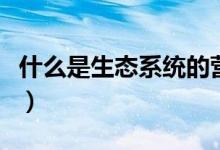 什么是生態(tài)系統(tǒng)的營(yíng)養(yǎng)結(jié)構(gòu)（什么是生態(tài)系統(tǒng)）