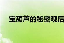 寶葫蘆的秘密觀后感（觀后感想是什么）
