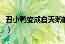 丑小鴨變成白天鵝的小說（丑小鴨變成白天鵝）