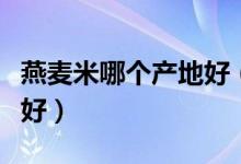 燕麥米哪個(gè)產(chǎn)地好（什么地方出產(chǎn)的燕麥米最好）