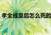孝全成皇后怎么死的（孝全成皇后內(nèi)容介紹）