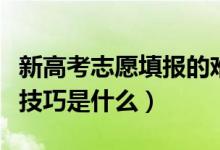 新高考志愿填報的難點在哪（新高考志愿填報技巧是什么）