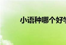 小語種哪個(gè)好學(xué)（學(xué)哪個(gè)比較好）