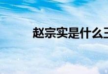 趙宗實(shí)是什么王爺（趙宗實(shí)是誰）