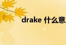 drake 什么意思（draken意思）